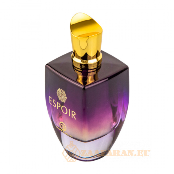 (plu00795) - Parfum Arabesc Espoir, Grandeur Elite, Women, Eau de Parfum - 100ml - Image 3