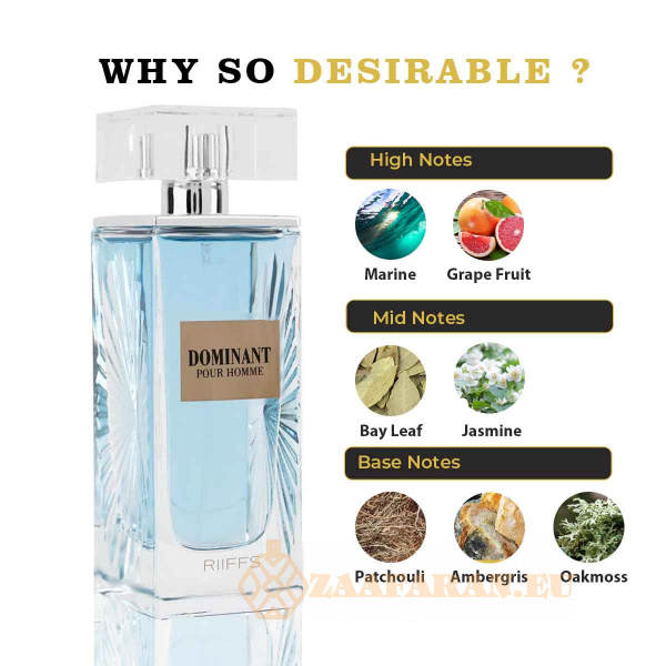 (plu00413) - Eau de Parfum Dominant Pour Homme, Riiffs, Men - 100ml - Image 5