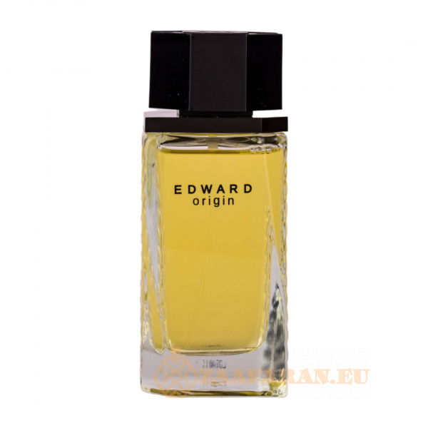 (plu05180) - Eau de Toilette Edward Origin, Dina Cosmetics, Men - 100ml