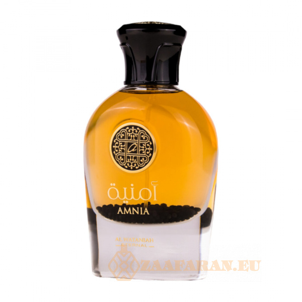 (plu00568) - Eau de Parfum Amnia, Al Wataniah, Unisex- 100ml - Image 2