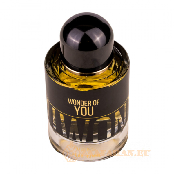 (plu00446) - Eau de Parfum Wonder Of You, Riiffs, Men- 100ml - Image 2
