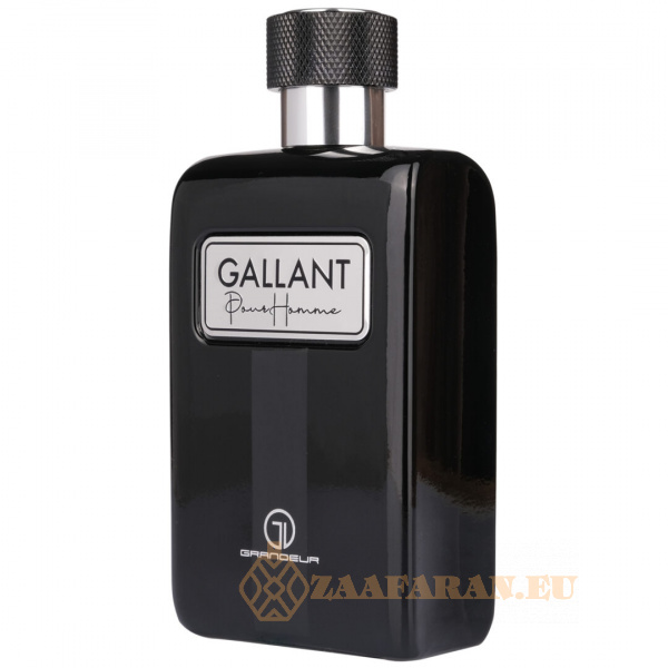(plu00283) - Eau de Parfum Gallant, Grandeur Elite, Men - 100ml - Image 2