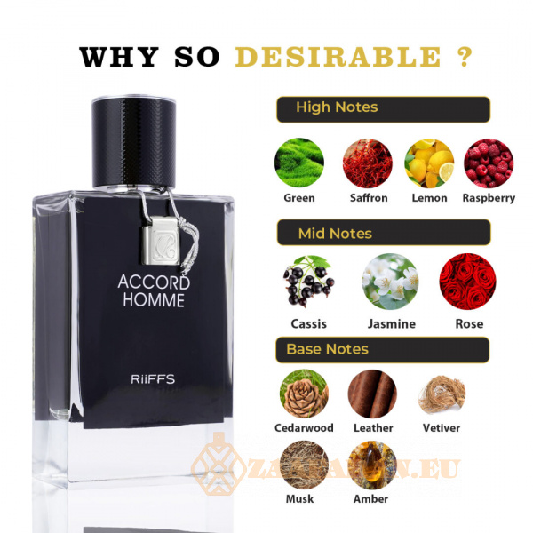 (plu00402) - Eau de Parfum Accord Homme, Riiffs, Men - 100ml - Image 5
