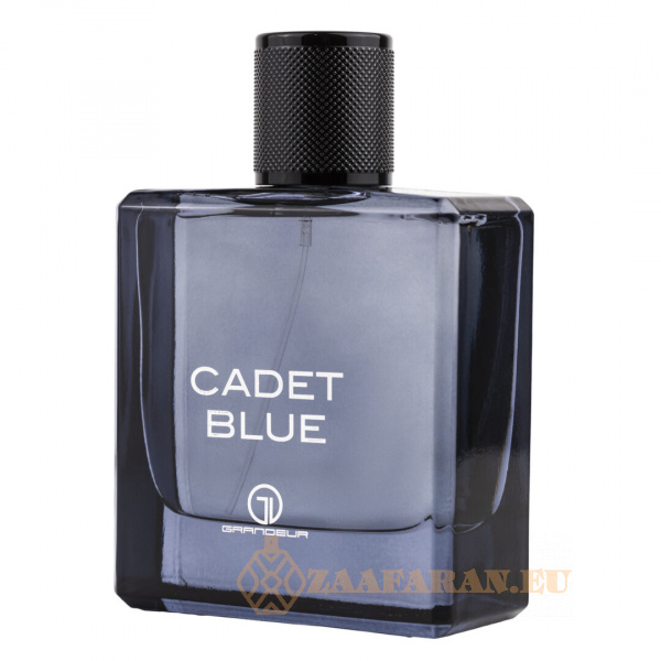 (plu00268) - Eau de Parfum Cadet Blue, Grandeur Elite, Men - 100ml - Image 2