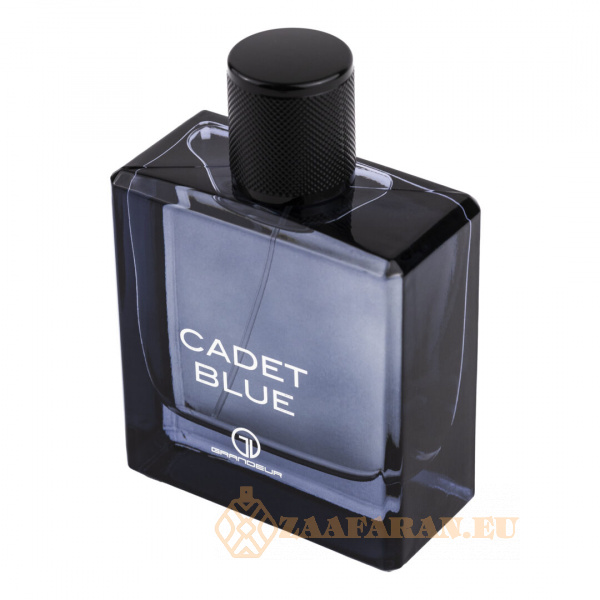 (plu00268) - Eau de Parfum Cadet Blue, Grandeur Elite, Men - 100ml - Image 3