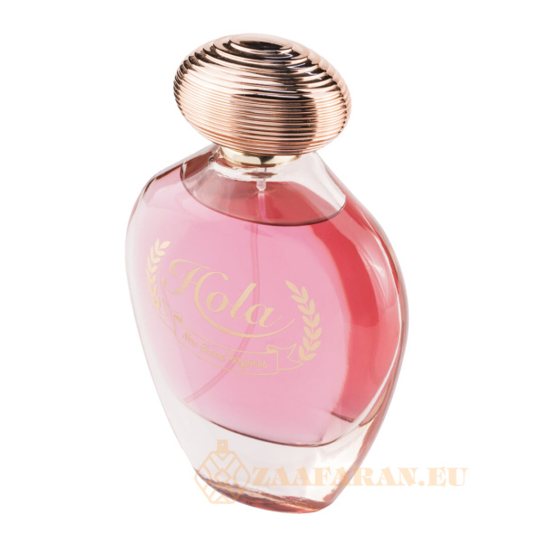 (plu05143) - Eau de Parfum Hola, New Brand Prestige, Women - 100ml - Image 3