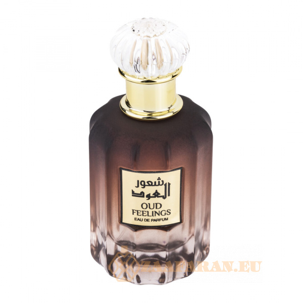 (plu01039) - Eau de Parfum Oud Feelings, Wadi Al Khaleej, Men - 100ml - Image 2