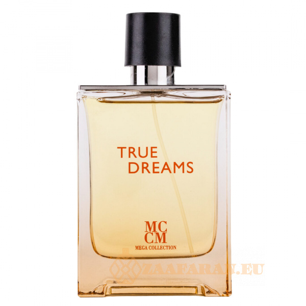 (plu00623) - Eau de Parfum True Dreams, Mega Collection, Men - 100ml