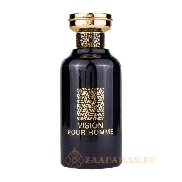 (plu00316) - Eau de Parfum Vision Pour Homme, Riiffs, Men - 100ml