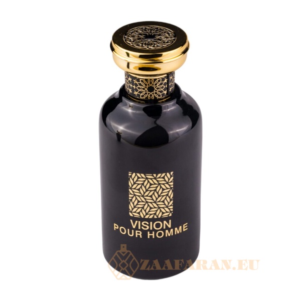 (plu00316) - Eau de Parfum Vision Pour Homme, Riiffs, Men - 100ml - Image 2