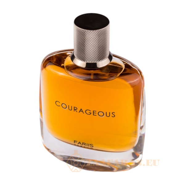 (plu01212) - Eau de Parfum Courageous, Fariis, Men - 100ml - Image 3