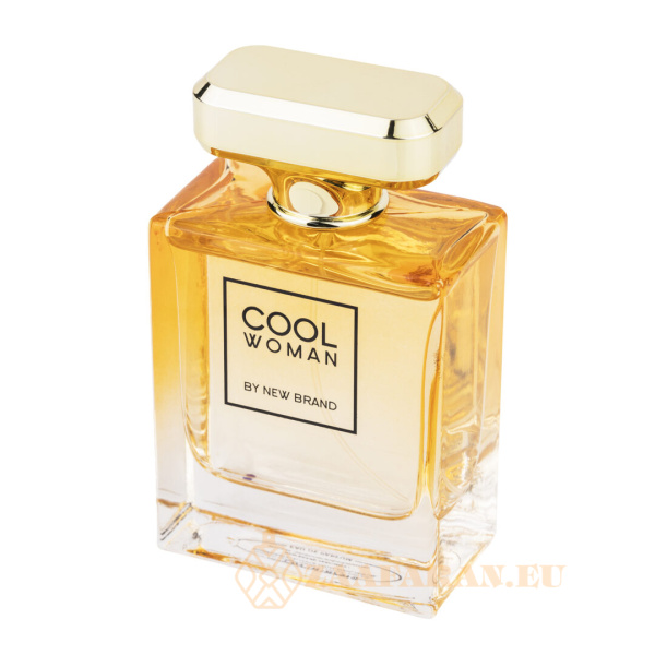 (plu05232) - Eau de Parfum Cool Woman, New Brand Prestige, Women - 100ml - Image 3