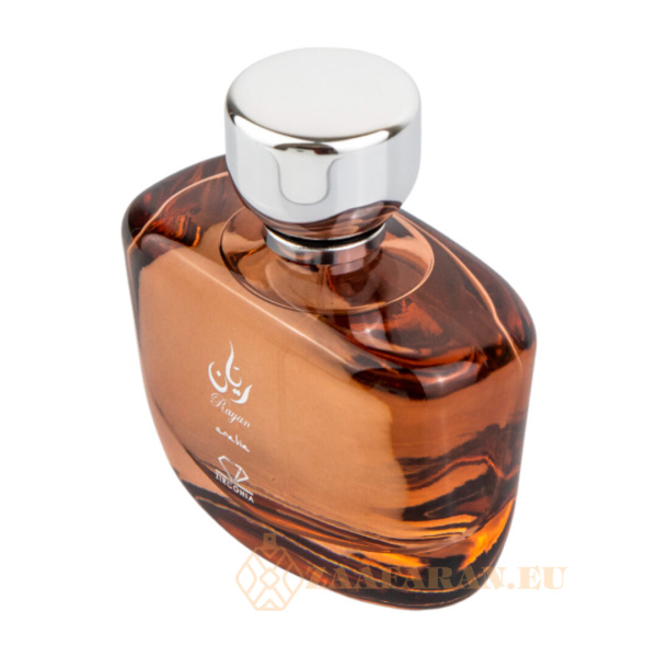 (plu05373) - Eau de Parfum Rayan, Zirconia, Men - 100ml - Image 3