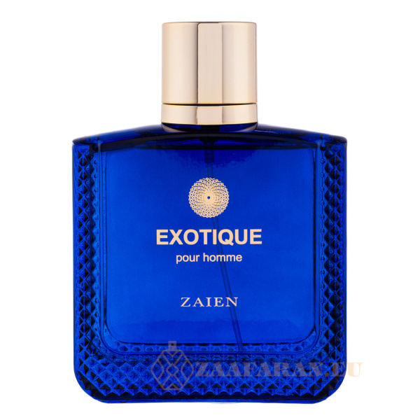 (plu01329) - Eau de Parfum Exotique Pour Homme, Zaien, Men - 100ml
