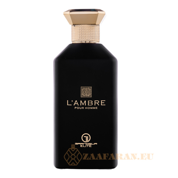 (plu00293) - Eau de Parfum L'ambre Pour Homme, Grandeur Elite, Men - 100ml