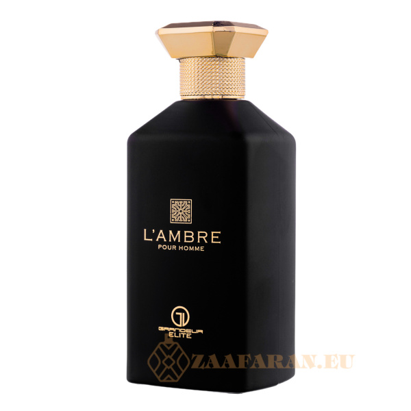 (plu00293) - Eau de Parfum L'ambre Pour Homme, Grandeur Elite, Men - 100ml - Image 3