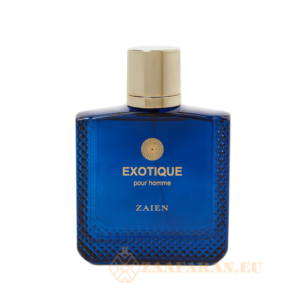 (plu01329) - Eau de Parfum Exotique Pour Homme, Zaien, Men - 100ml - Image 5
