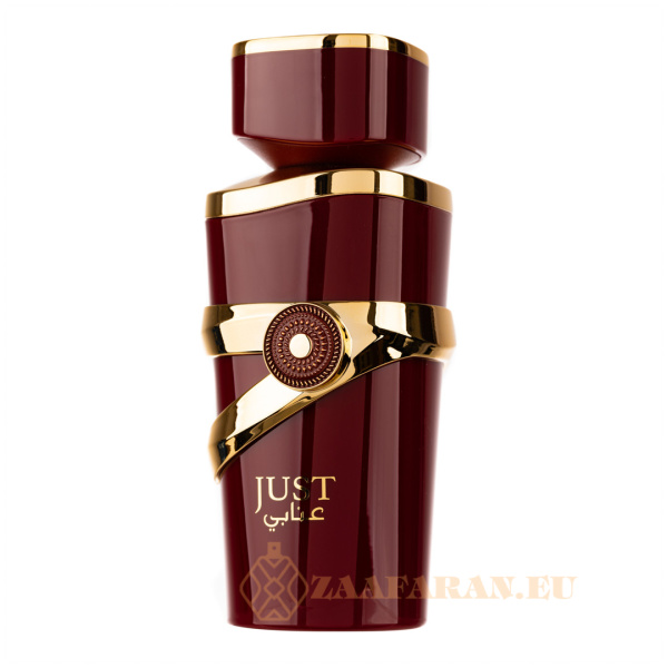 (plu01634) - Eau de Parfum Just Anabi, Fragrance World, Women - 100ml - Image 2