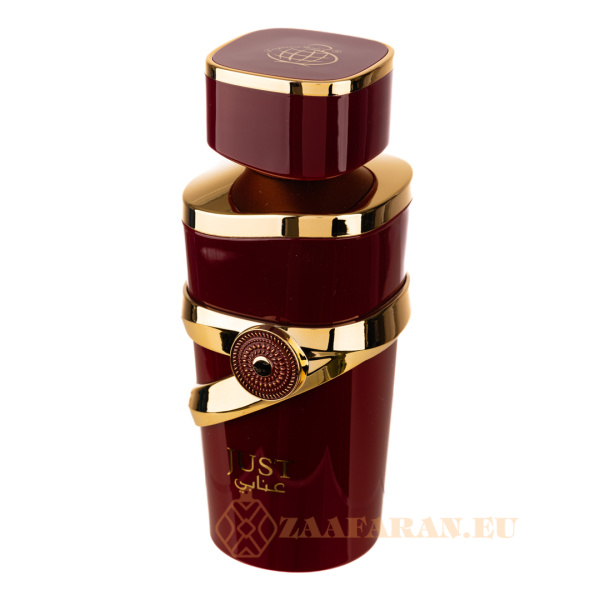 (plu01634) - Eau de Parfum Just Anabi, Fragrance World, Women - 100ml - Image 3