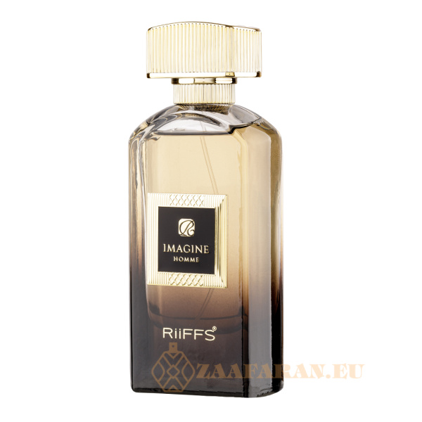 (plu00988) - Extrait de Parfum Imagine Homme, Riiffs, Men- 100ml - Image 2