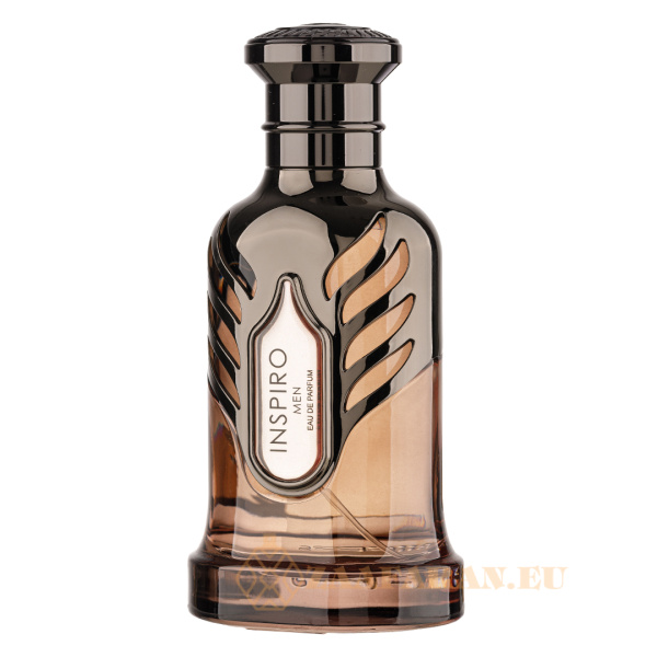 (plu00992) - Extrait de Parfum Inspiro Men, Riiffs, Men- 100ml - Image 2