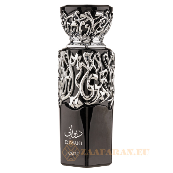 (plu00905) - Eau de Parfum Diwani Cairo, French Avenue, Unisex - 100ml - Image 2