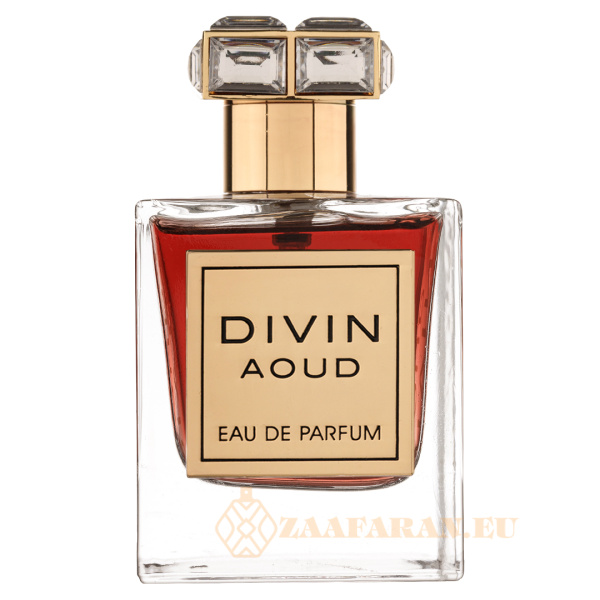 (plu00899) - Eau de Parfum Divin Aoud, French Avenue, Unisex - 100ml
