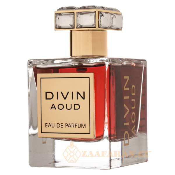 (plu00899) - Eau de Parfum Divin Aoud, French Avenue, Unisex - 100ml - Image 2