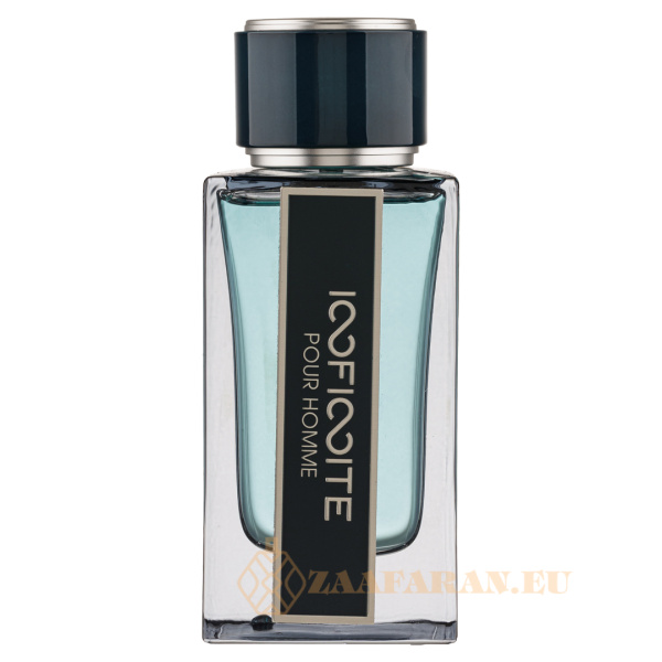 (plu00858) - Eau de Parfum Infinite Pour Homme, Fragrance World, Men - 100ml