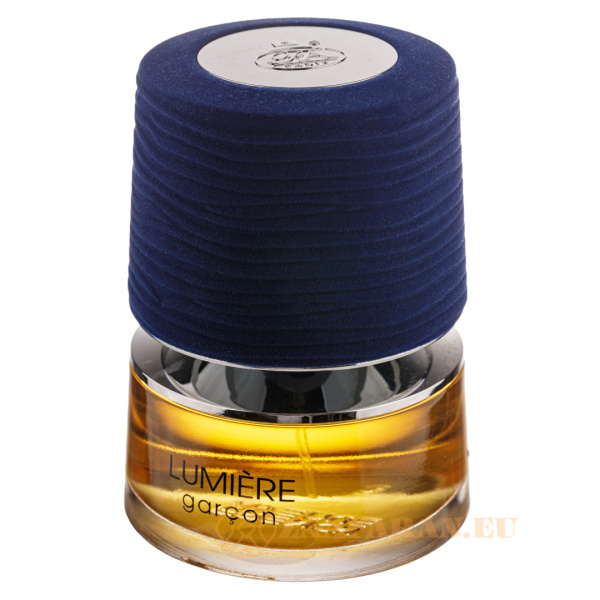 (plu00907) - Eau de Parfum Lumiere Garcon, French Avenue, Men - 100ml - Image 2