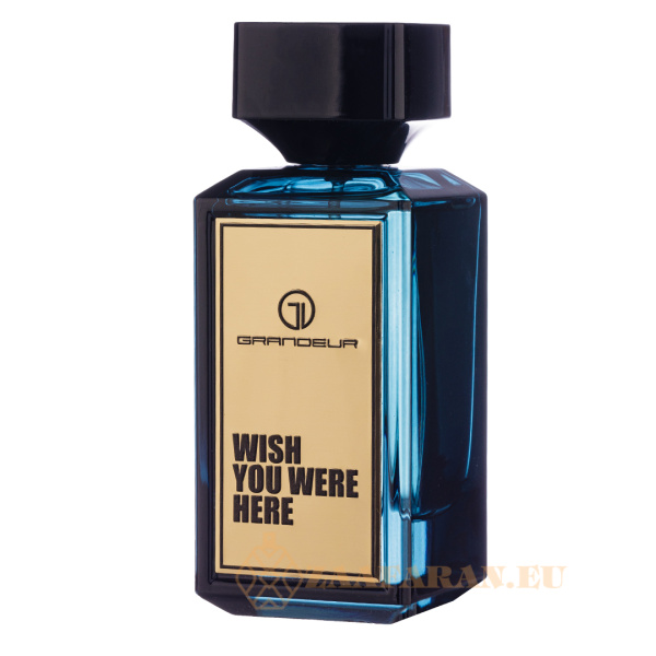 (plu00924) - Eau de Parfum Wish You Were Here, Grandeur Elite, Men - 100ml - Image 2