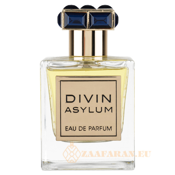 (plu00904) - Eau de Parfum Divin Asylum, French Avenue, Men - 100ml