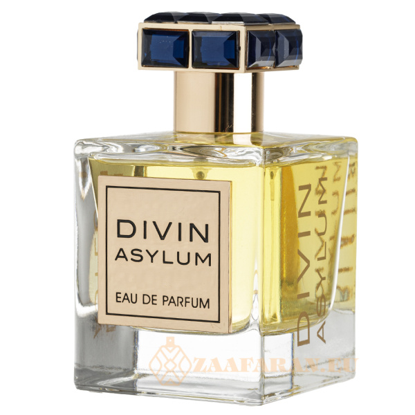 (plu00904) - Eau de Parfum Divin Asylum, French Avenue, Men - 100ml - Image 2