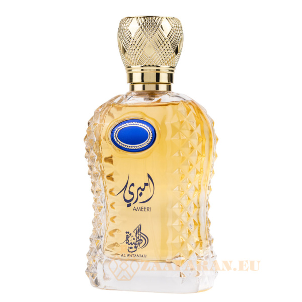 (plu05411) - Eau de Parfum Ameeri, Al Wataniah, Men - 100ml - Image 2